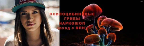 jwh Аркадак