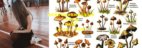 каннабис Армянск