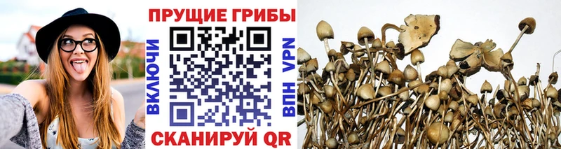 Галлюциногенные грибы MAGIC MUSHROOMS  OMG ссылки  Краснотурьинск 